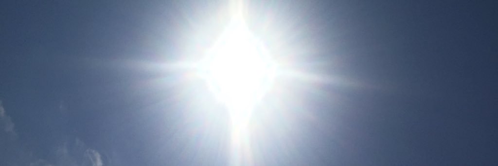 nellucida's profile banner image