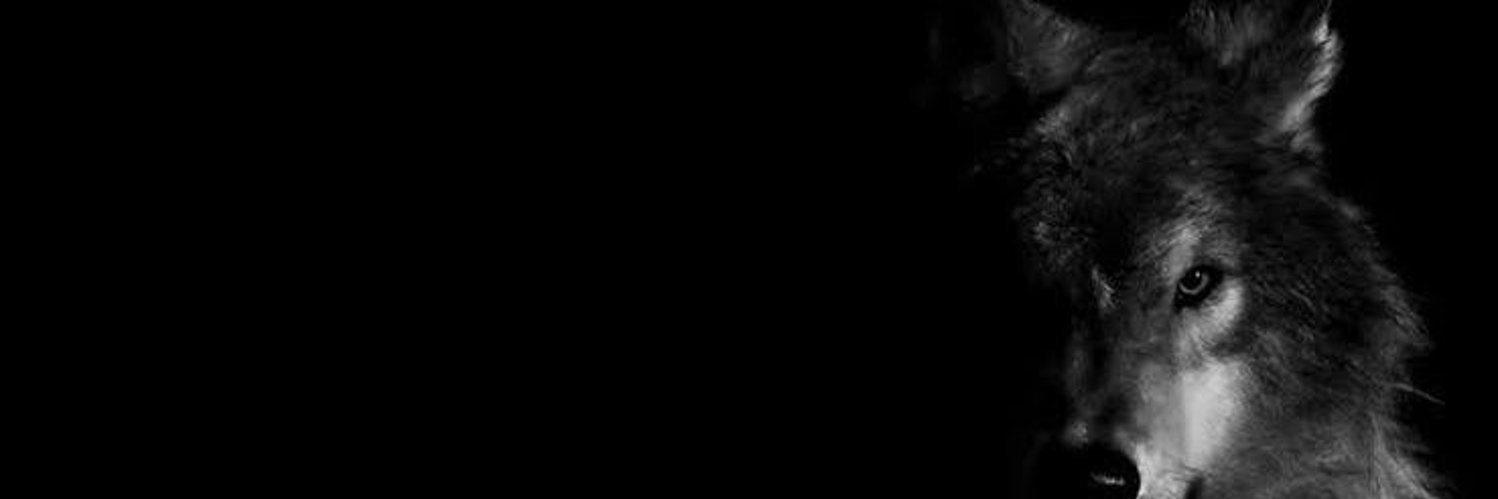 Kozbyndr's profile banner image