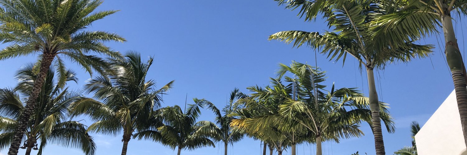 sobephoto's profile banner image