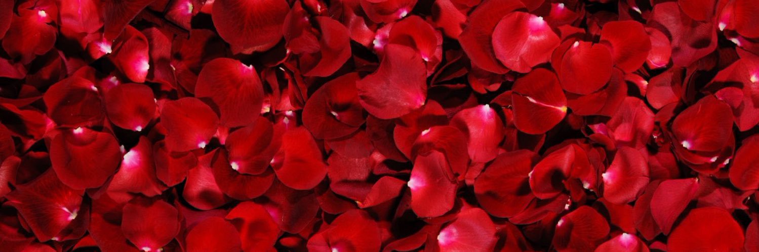 sayravic's profile banner image