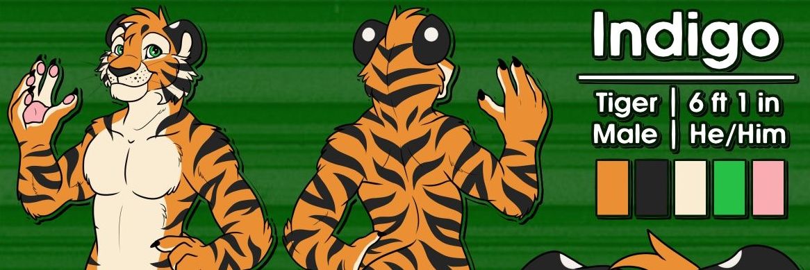 IndigoMew's profile banner image