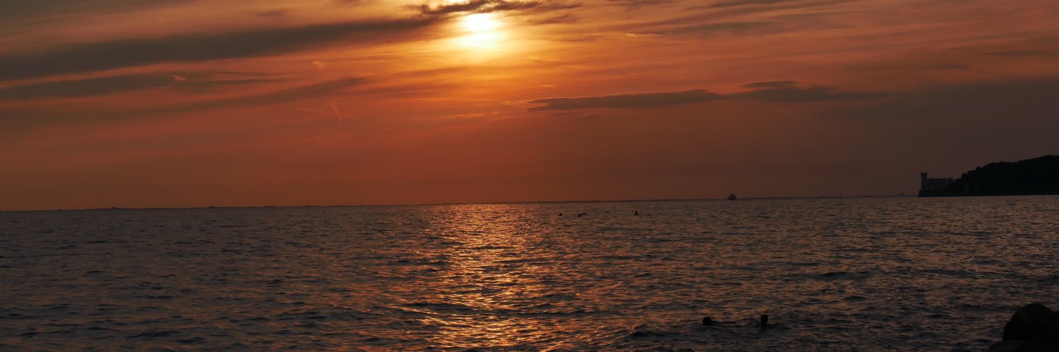 Elegoldonz's profile banner image