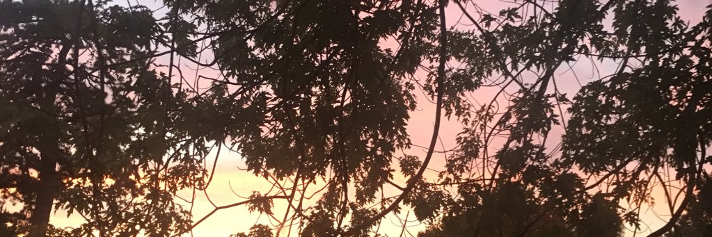 mackelizabethx's profile banner image