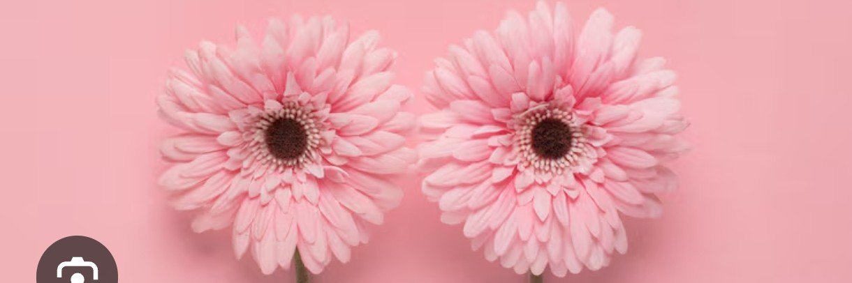 soonia94's profile banner image