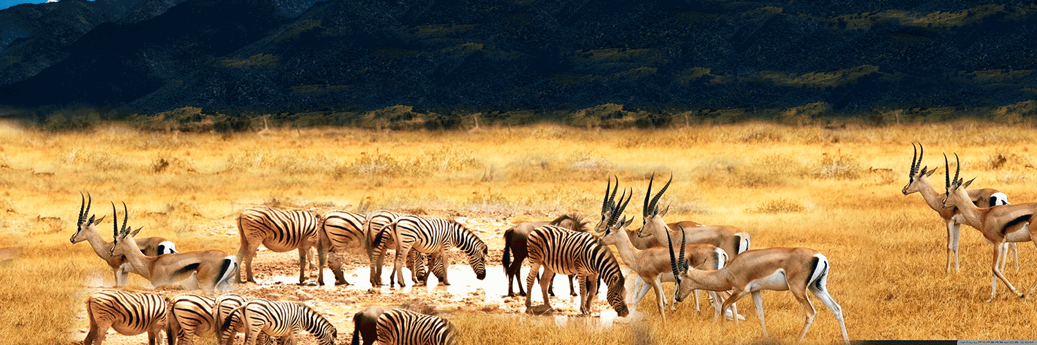 Marsabit banner