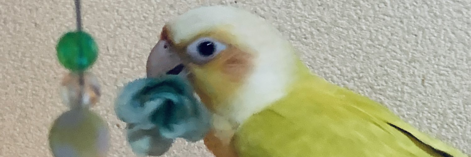 奥 姫🍀 banner