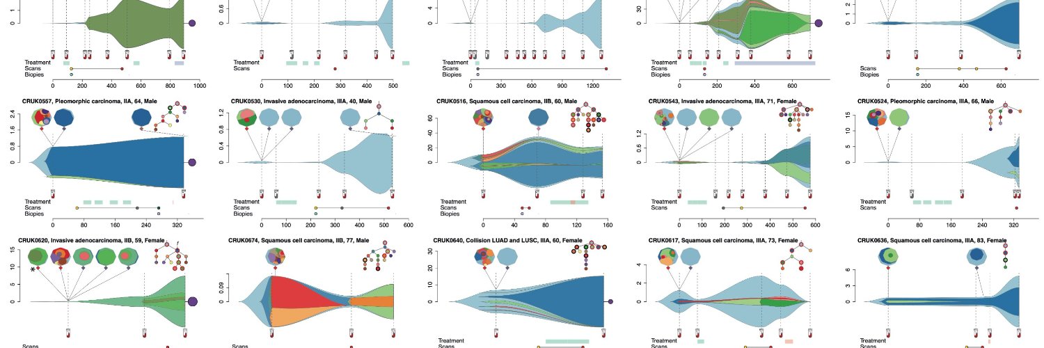 Alex Frankell banner