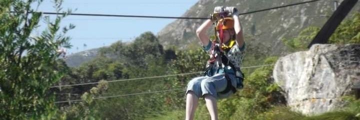 Abigail Brown banner