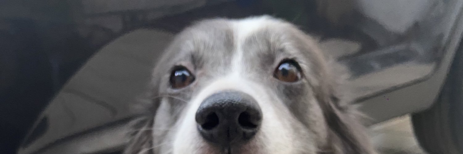 Mariavvf's profile banner image
