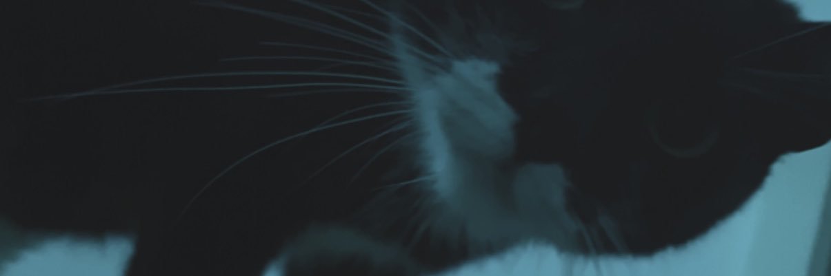 creazy231's profile banner image