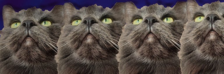 Marie (Taylor's Version) banner