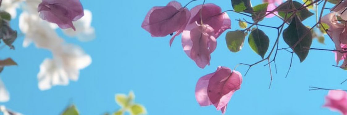 MerveDumluu's profile banner image