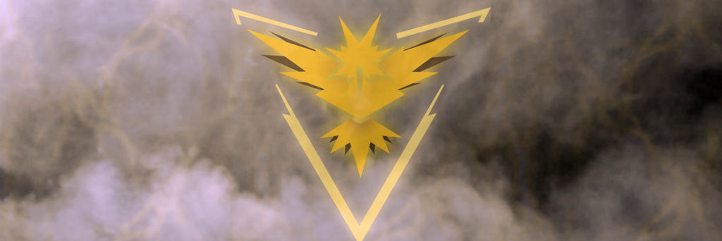 PickleVick95 banner