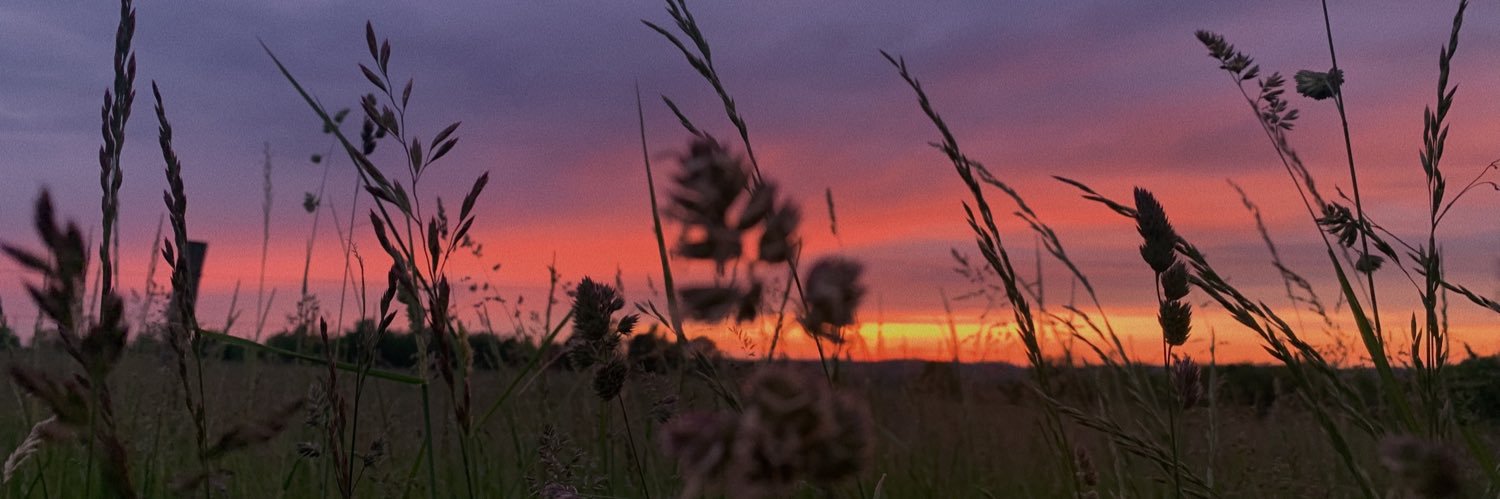 J_N_M_'s profile banner image