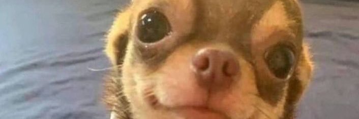 Lesliebaezc's profile banner image