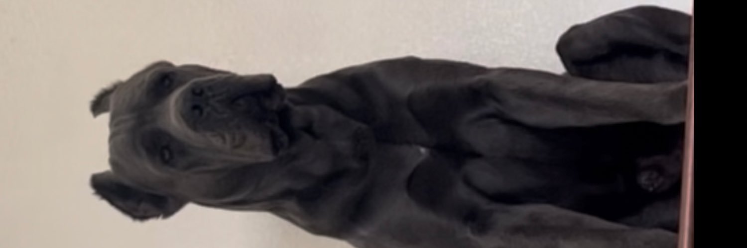 _angeljm's profile banner image