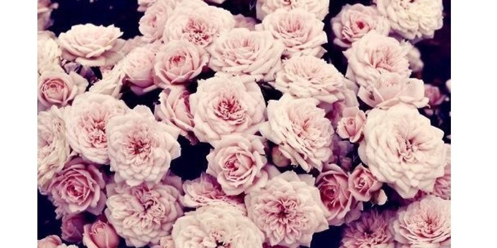 megynthomas's profile banner image
