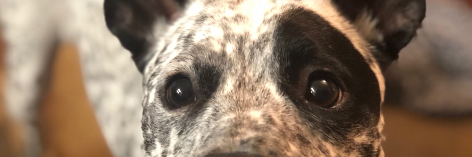 bake_abigail's profile banner image