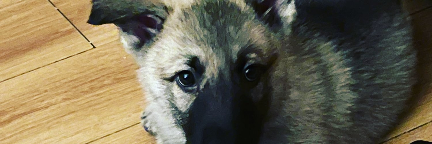 EdwardHansen14's profile banner image