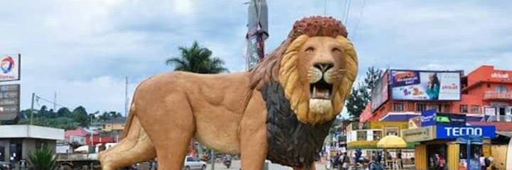 Ronald Muhenda™🇺🇬 banner