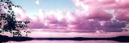 Ale LarCor banner