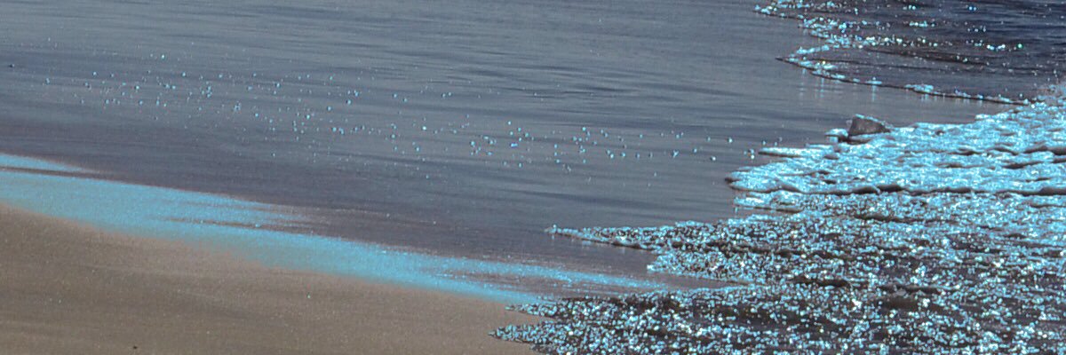 juliafleisch's profile banner image