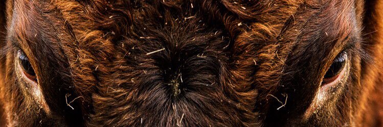 pstopps's profile banner image