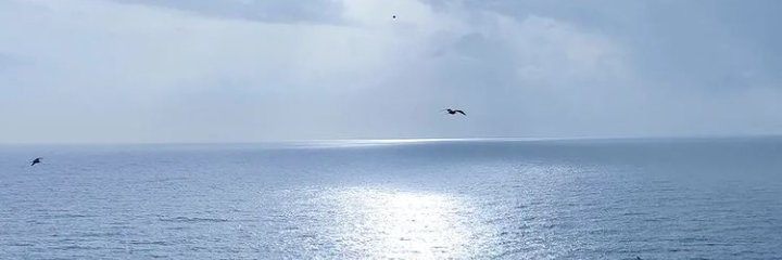 IN0H03's profile banner image