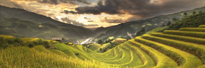 Ashton Robinson π² banner