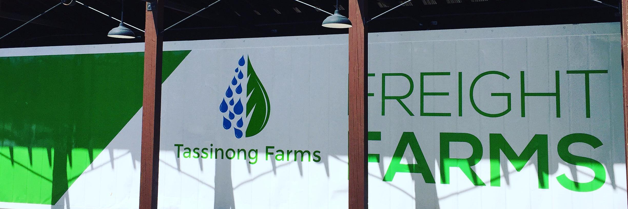tassinongfarms's profile banner image