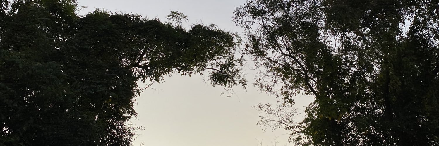 poxanaaa's profile banner image
