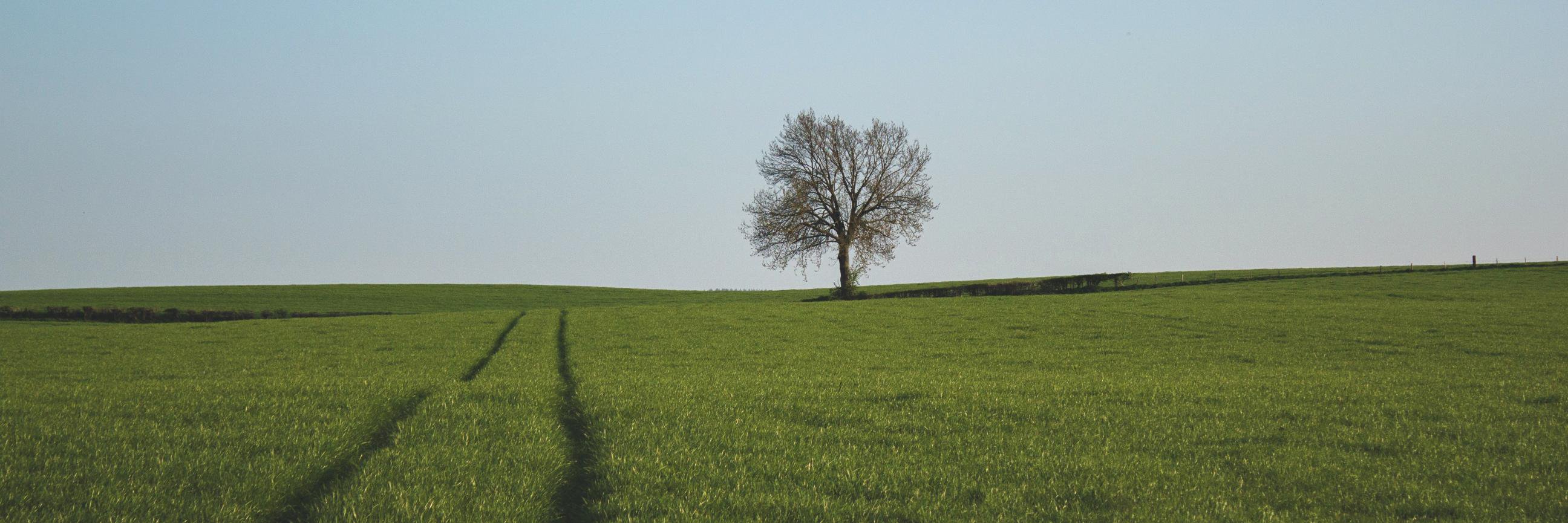 LiveandGoGreen's profile banner image