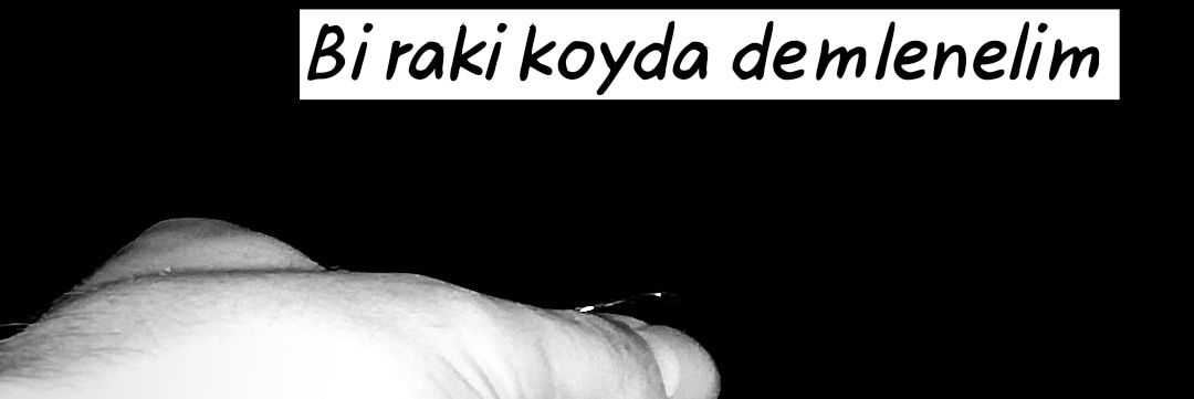 Sinan0ny's profile banner image