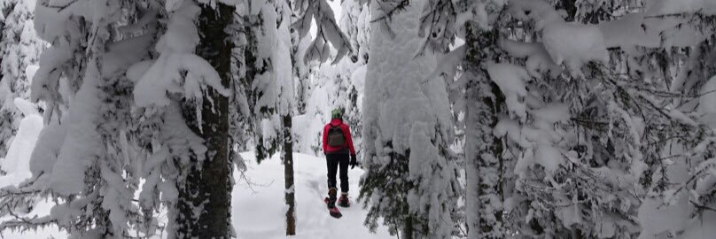 cindybegood's profile banner image
