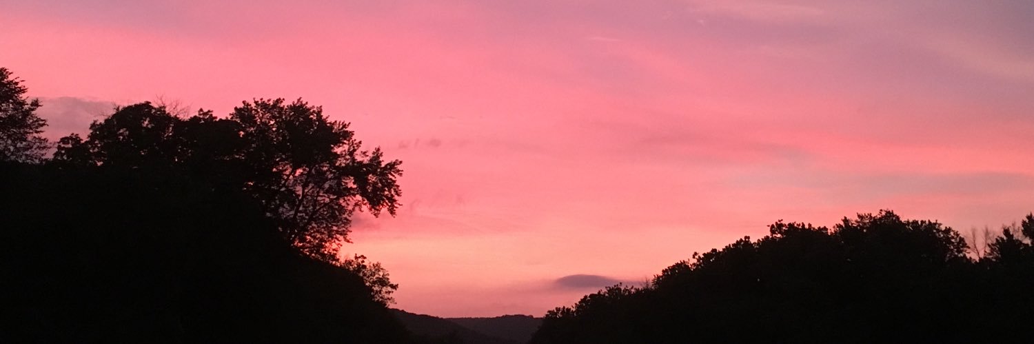 sierrawees's profile banner image