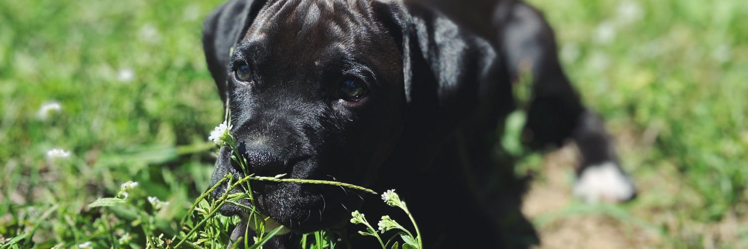 Olanderh's profile banner image