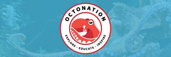 TheOctoNation Profile Banner