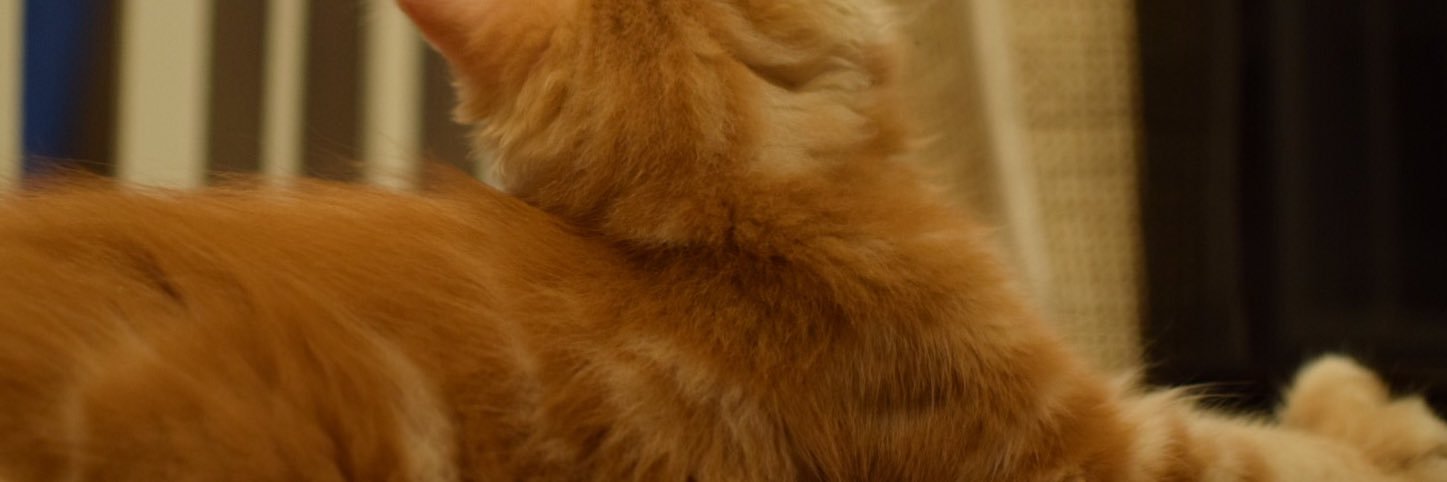 AA_373's profile banner image