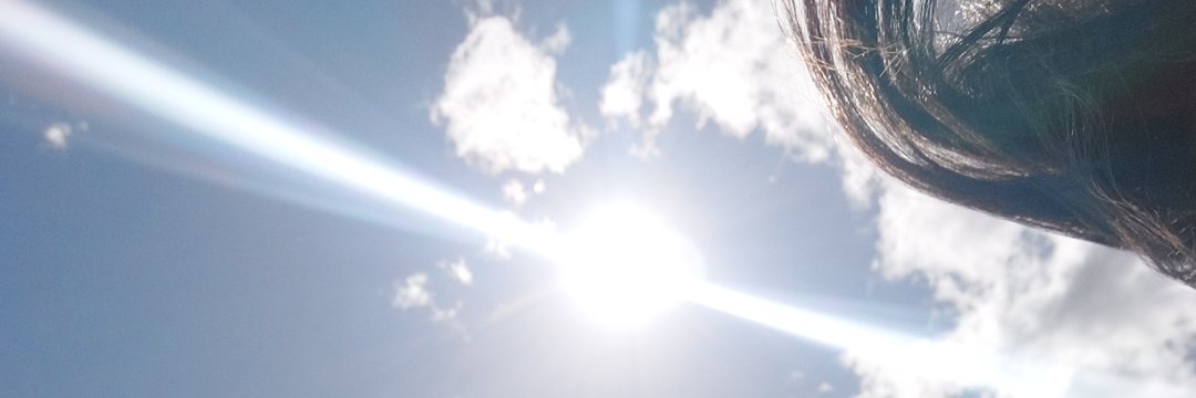 tigrillax's profile banner image