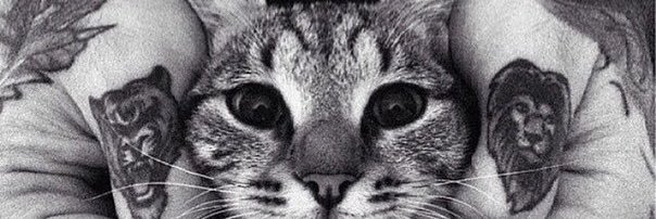 ShprotikDima's profile banner image