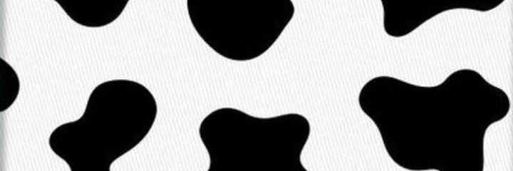paahtee's profile banner image