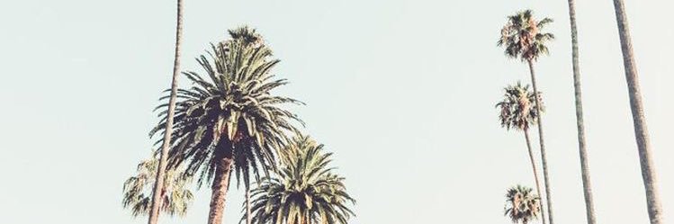 _coriepuckettt's profile banner image