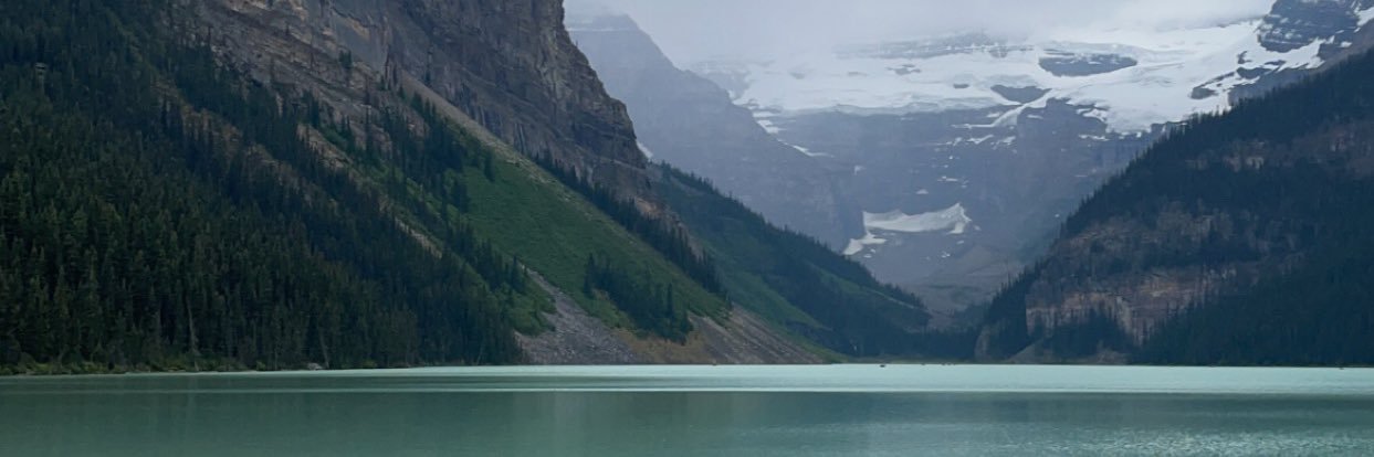 thewillmcdonald's profile banner image