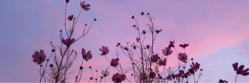 j3nxa's profile banner image