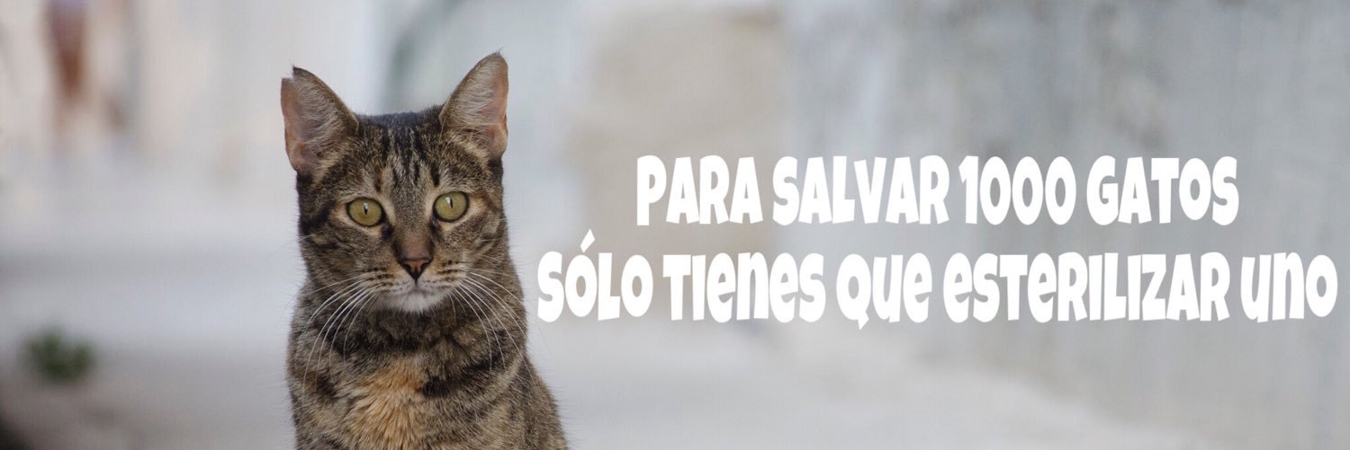 Proyecto Ces Aspe banner