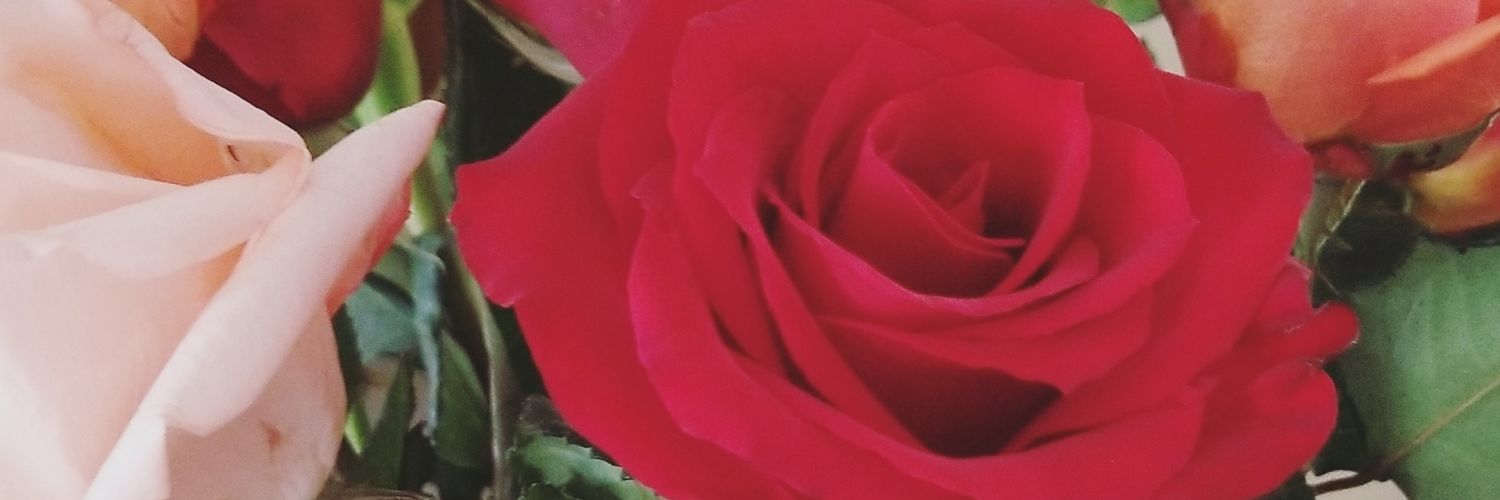 AndreaRenae1's profile banner image