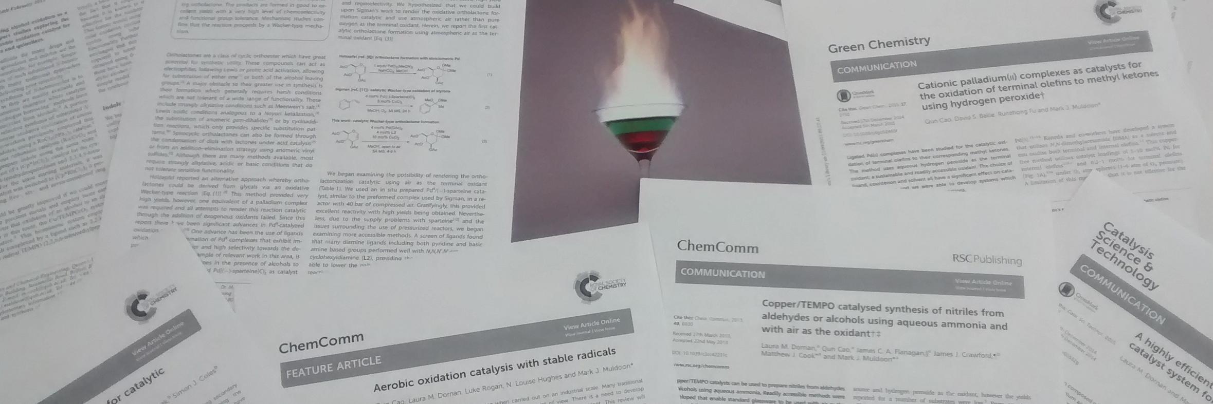 Muldoon Lab's banner