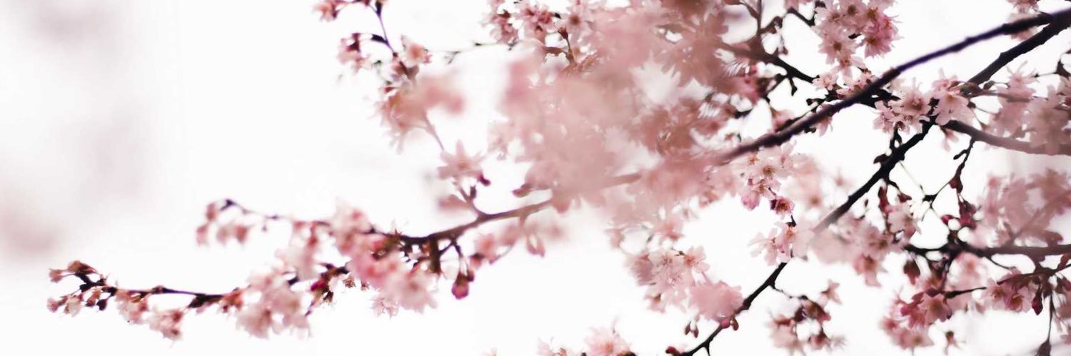 Lifestoory's profile banner image
