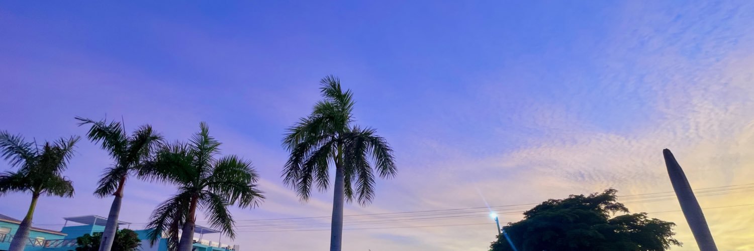AleSanchezx3's profile banner image
