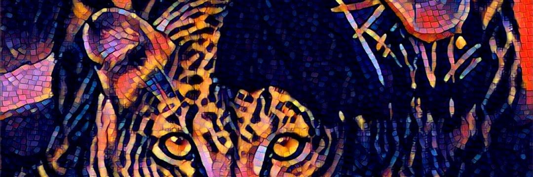 p1aymaka's profile banner image